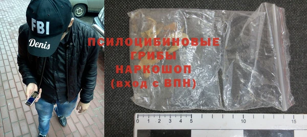 гидра Алексеевка