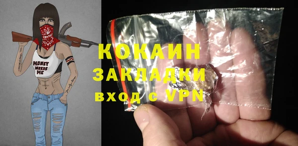 гидра Алексеевка