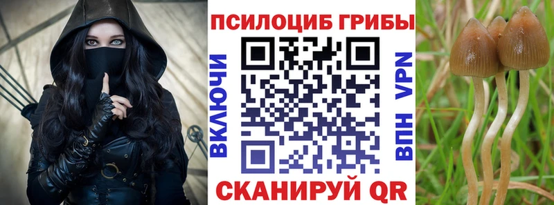 blacksprut как войти  Межгорье  Псилоцибиновые грибы GOLDEN TEACHER  купить  сайты 
